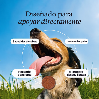 Probiótico Masticable para Alergias e Inmunidad